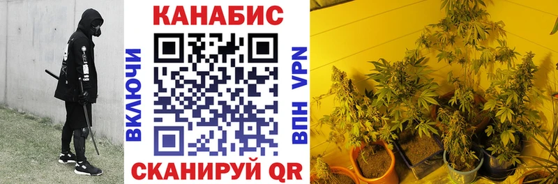 купить закладку  Устюжна  Бошки Шишки планчик 